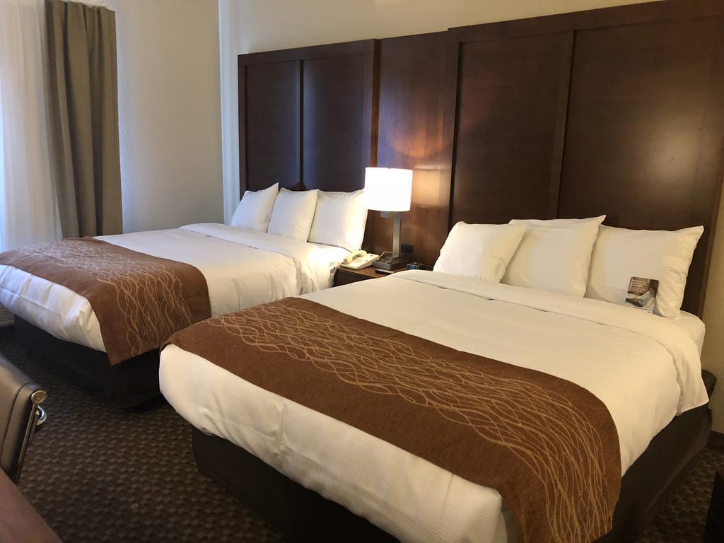 Comfort Inn & Suites Sw Houston Sugarland Экстерьер фото
